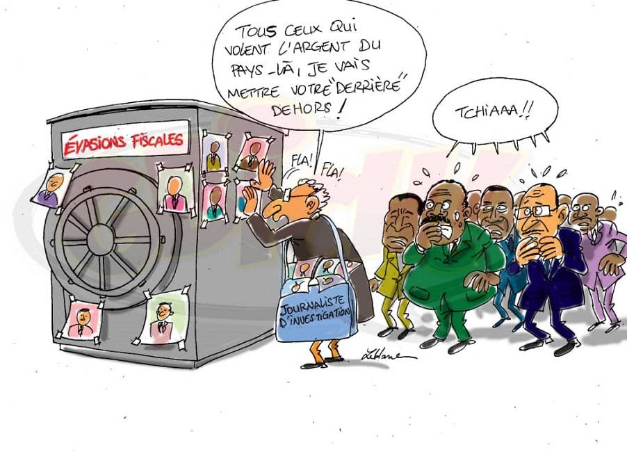 les politiques africaine