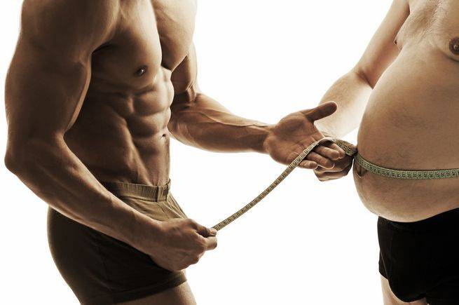 Study Finds Steroid Use Enhances Metabolic Processes and Fat Burning Efficiency